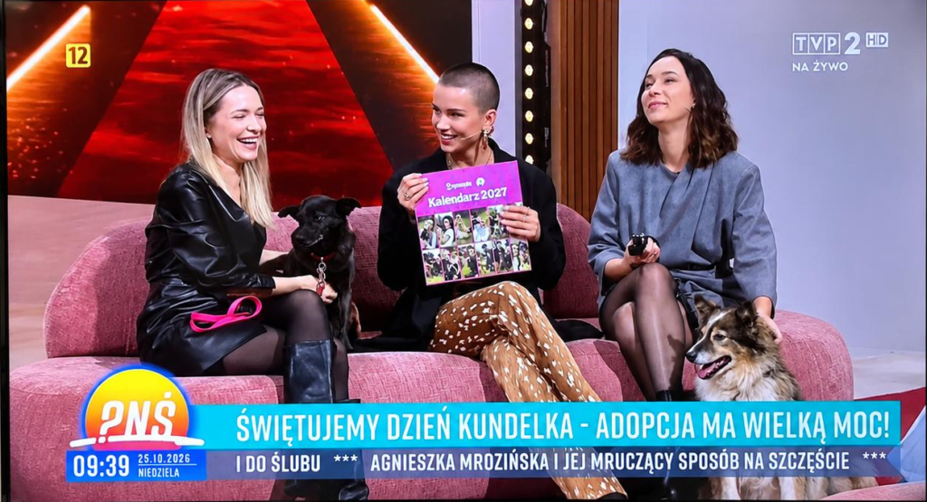 Kalendarz Pudelek.pl 2026