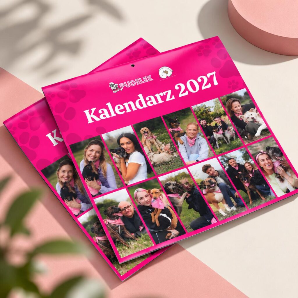 Kalendarz Pudelek.pl 2026